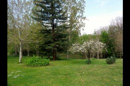 Image n° 3 de la location
