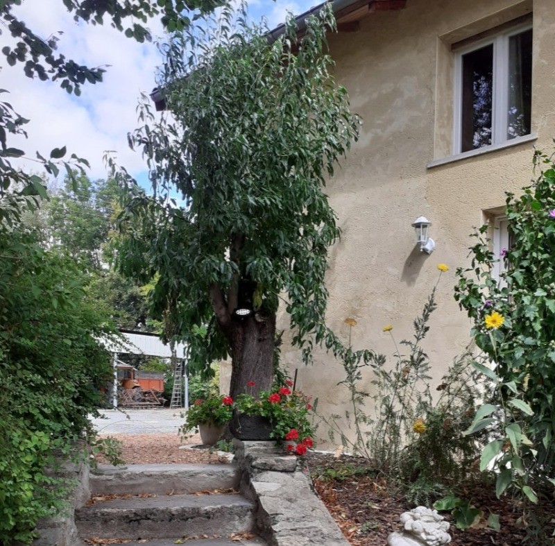 Photo n° 6 de la location