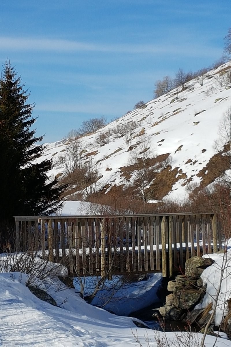 Photo n° 9 of the location