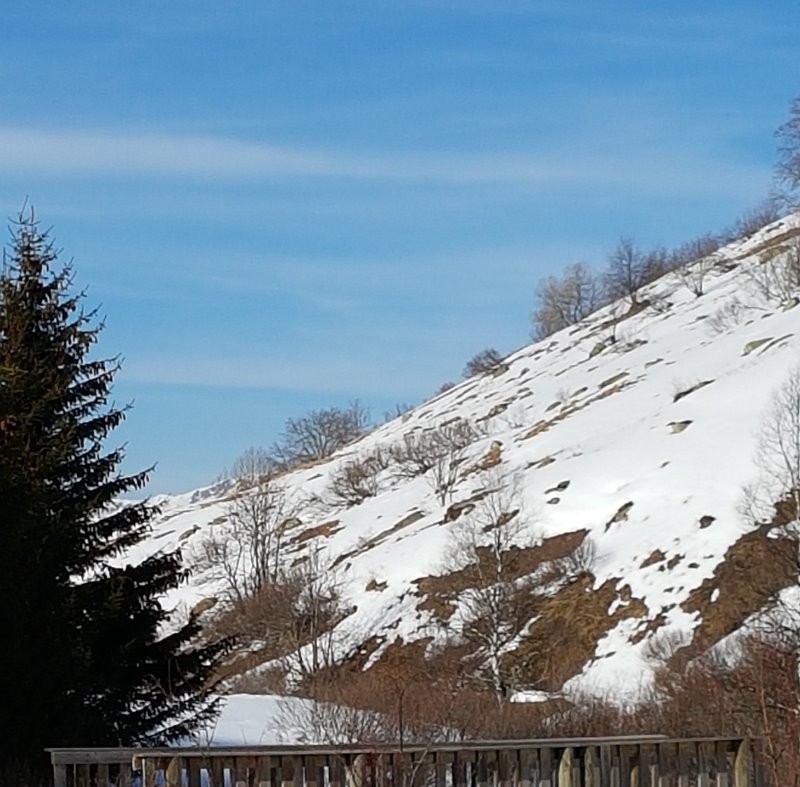 Photo n° 9 of the location