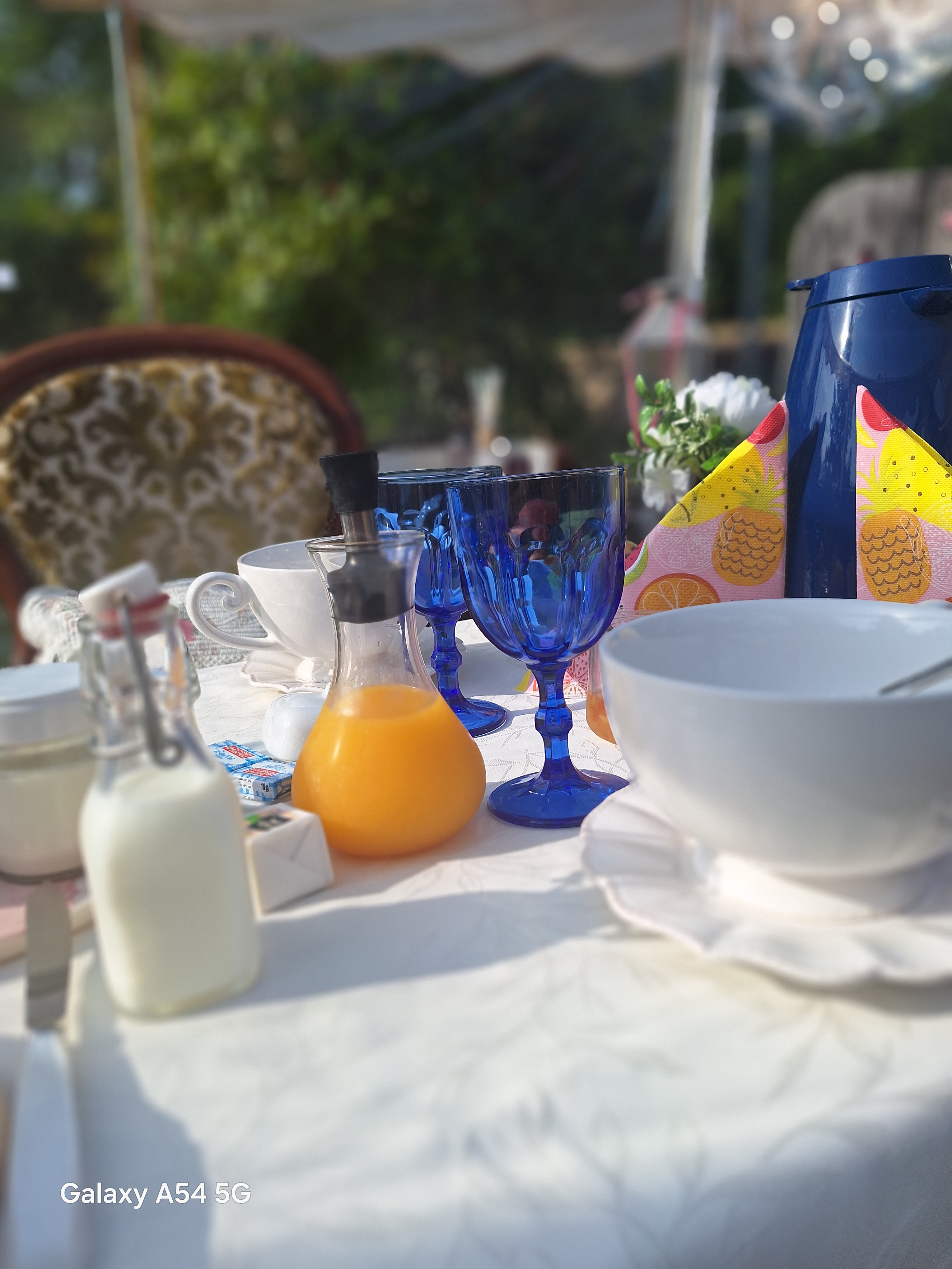 Photo n° 14 de la location