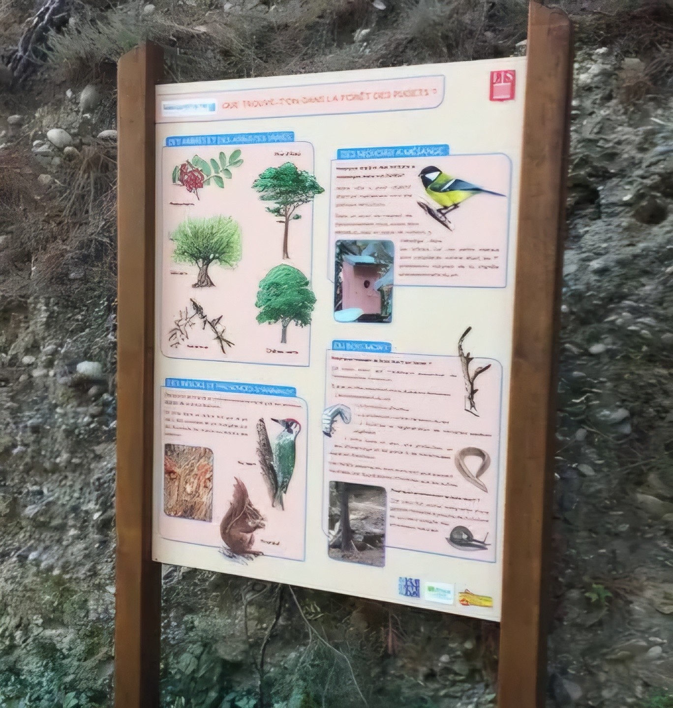 Photo n° 21 de la location