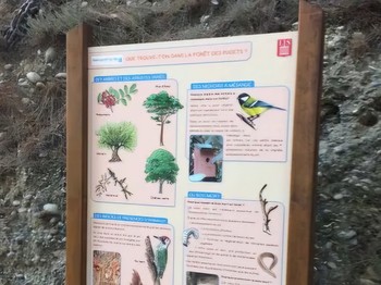 Photo n° 21 de la location