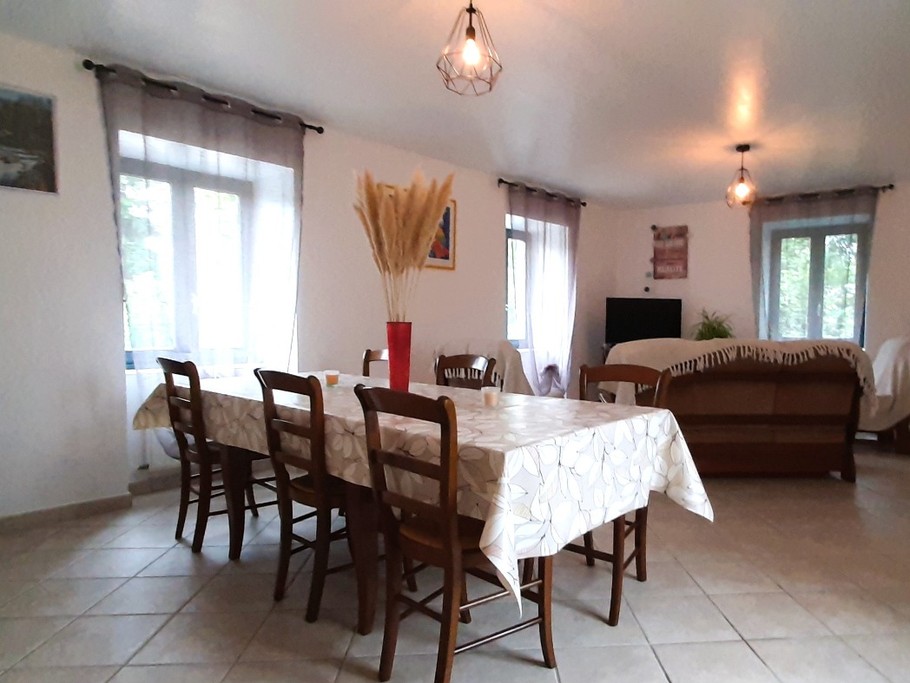 Séjour-salon-salle à manger. TV.