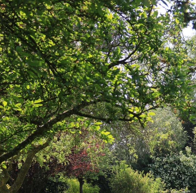 jardin ©LEBOURGIS