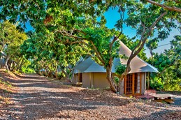 Chambre glamping extérieur