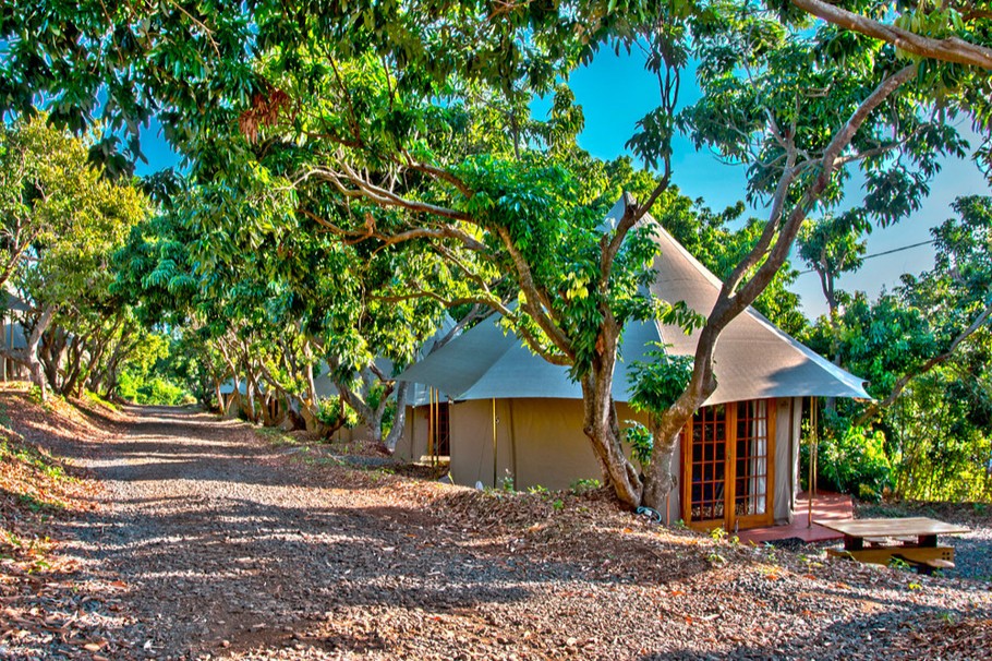 Chambre glamping extérieur