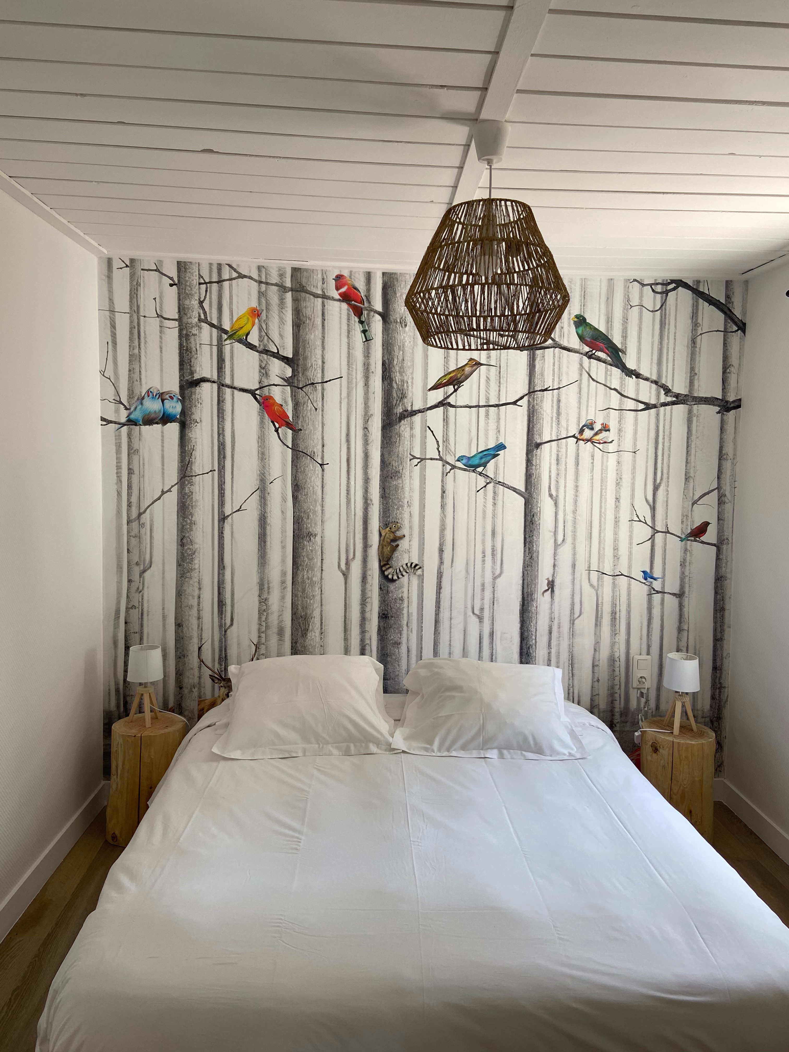 Chambre 1