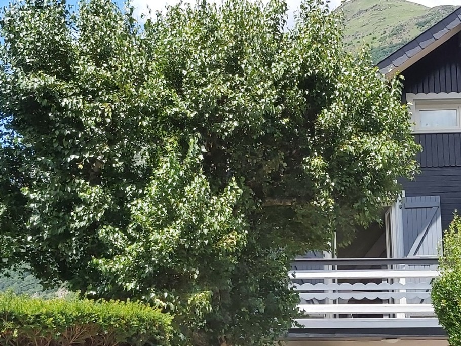 Photo n° 20 de la location