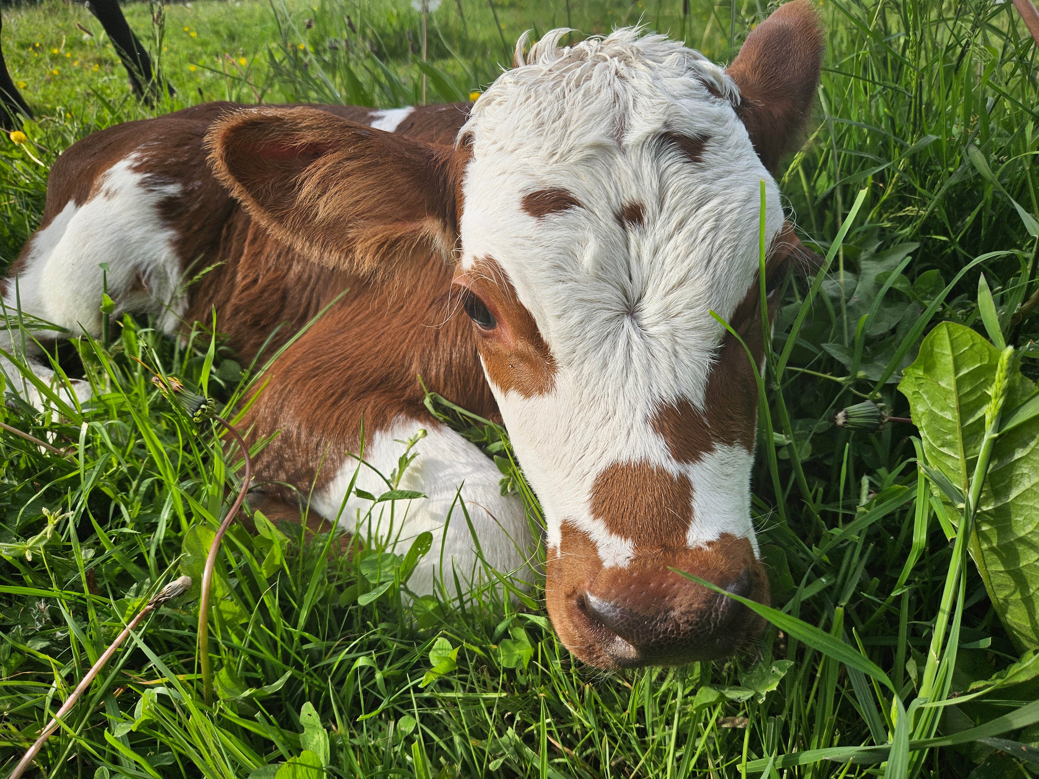 Photo n° 12 of the location