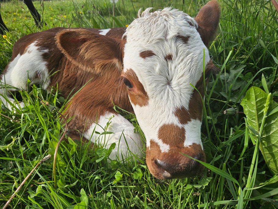 Photo n° 12 of the location