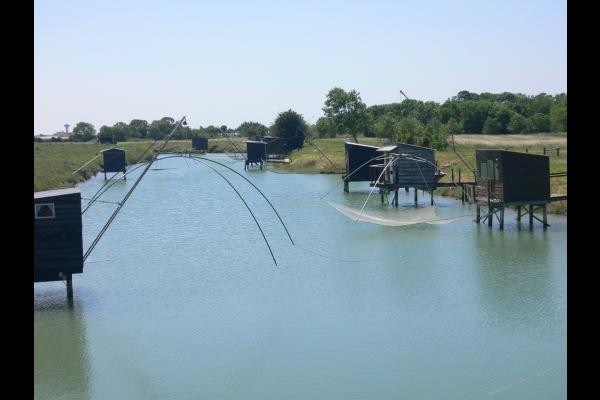 Photo n° 12 de la location