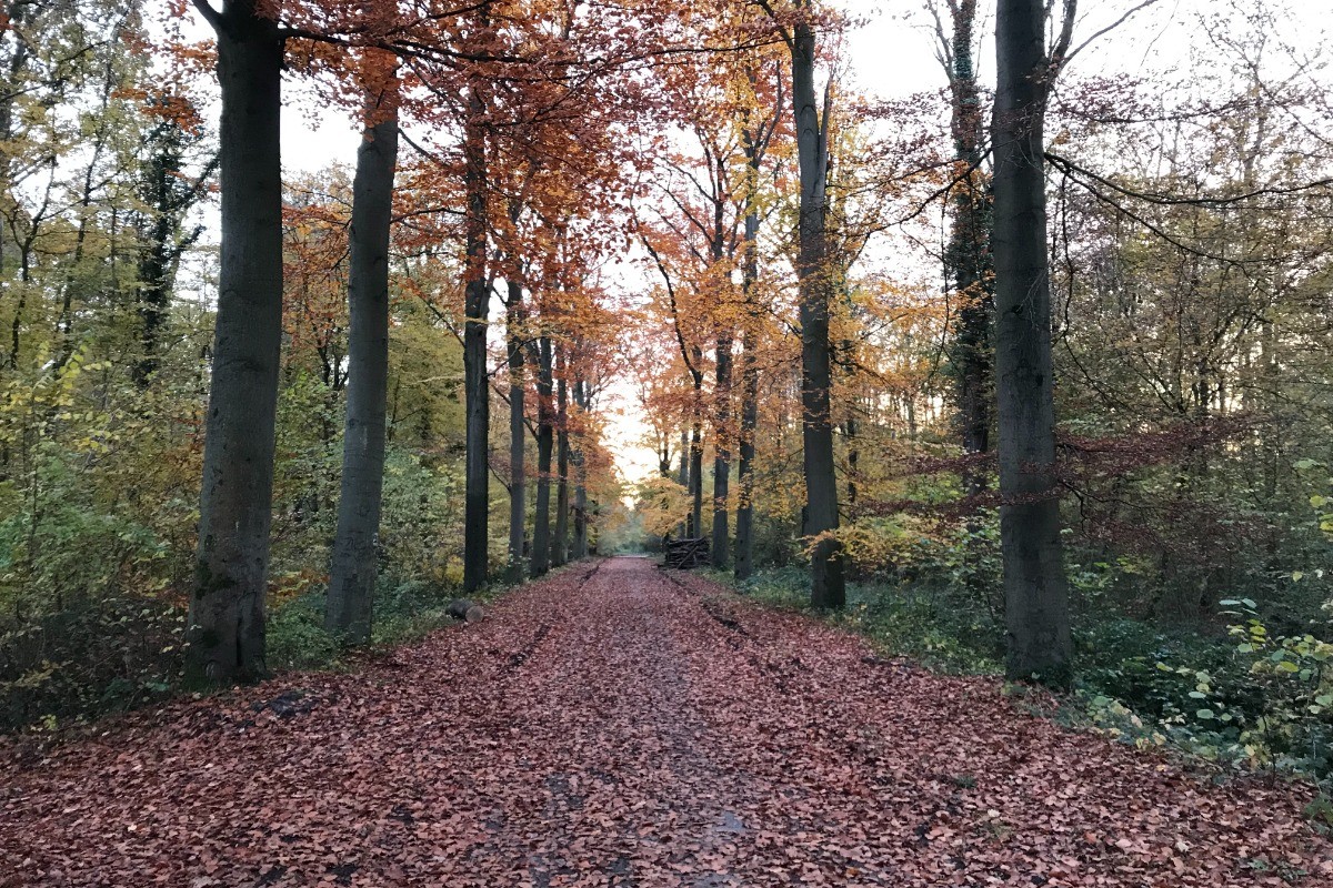 Photo n° 14 of the location