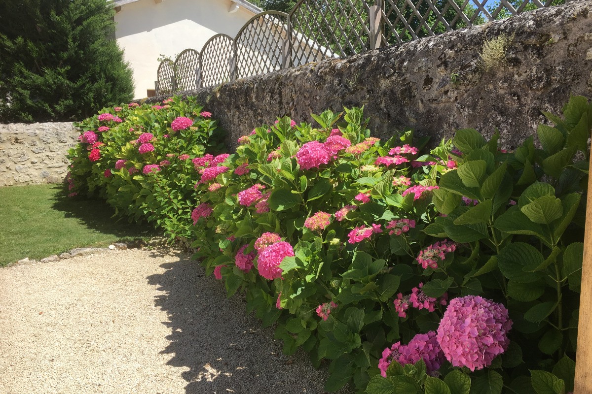 Photo n° 20 de la location