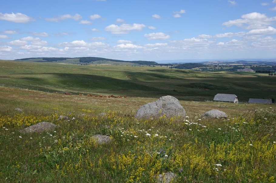 Photo n° 18 de la location