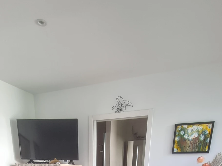 SDE WC indépendant de la chambre et accès à la terrasse privative