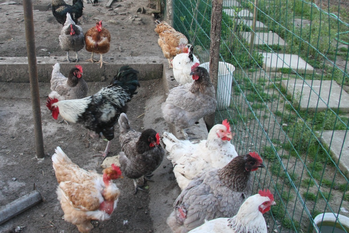 Photo n° 19 de la location