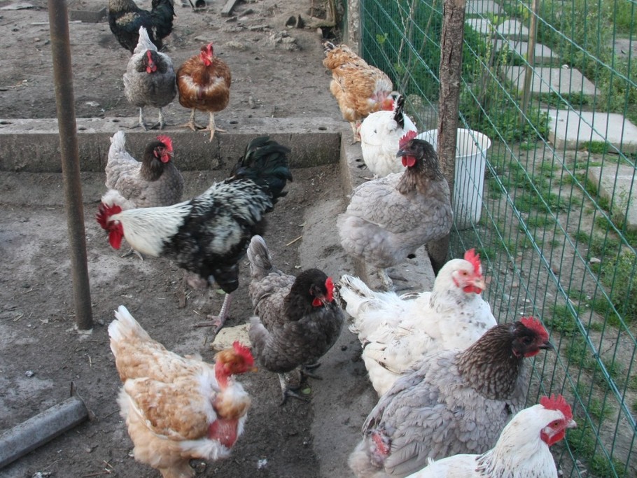 Photo n° 19 de la location