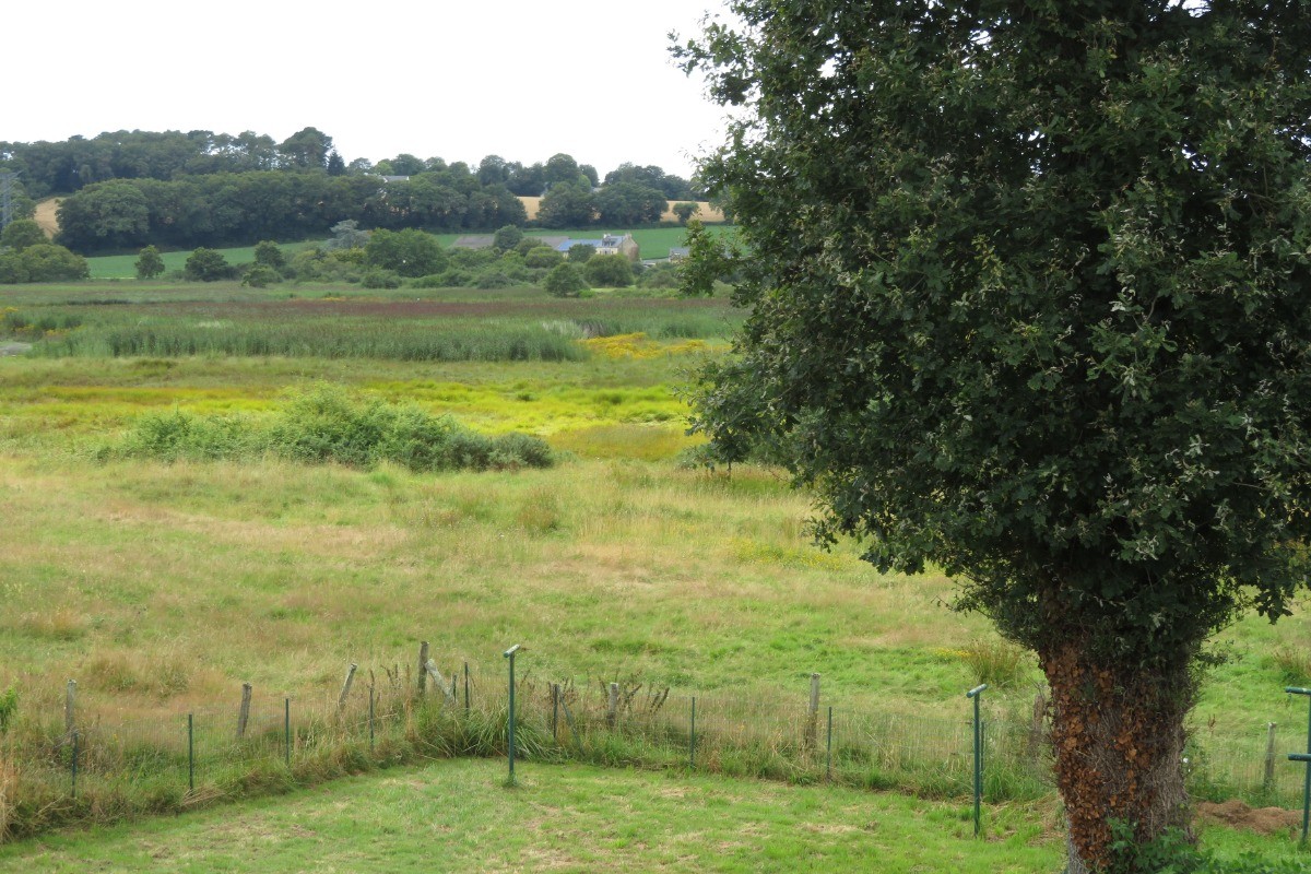 vue depuis la fenêtre de la chambre