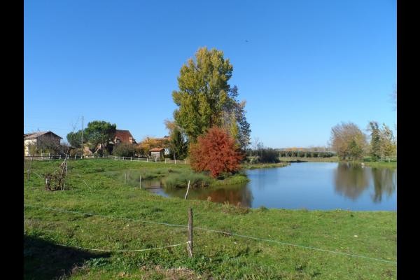 Etang de pêche de 2000m2