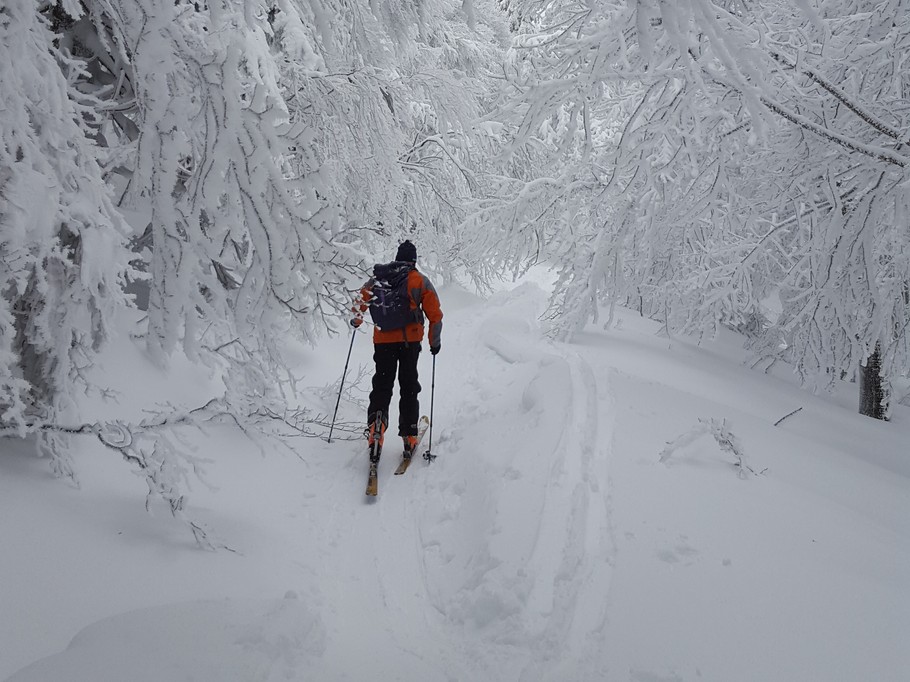 Plaisirs de l'hiver à Xonrupt-Longemer.