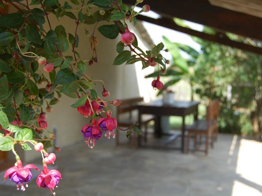 large covered terrace
