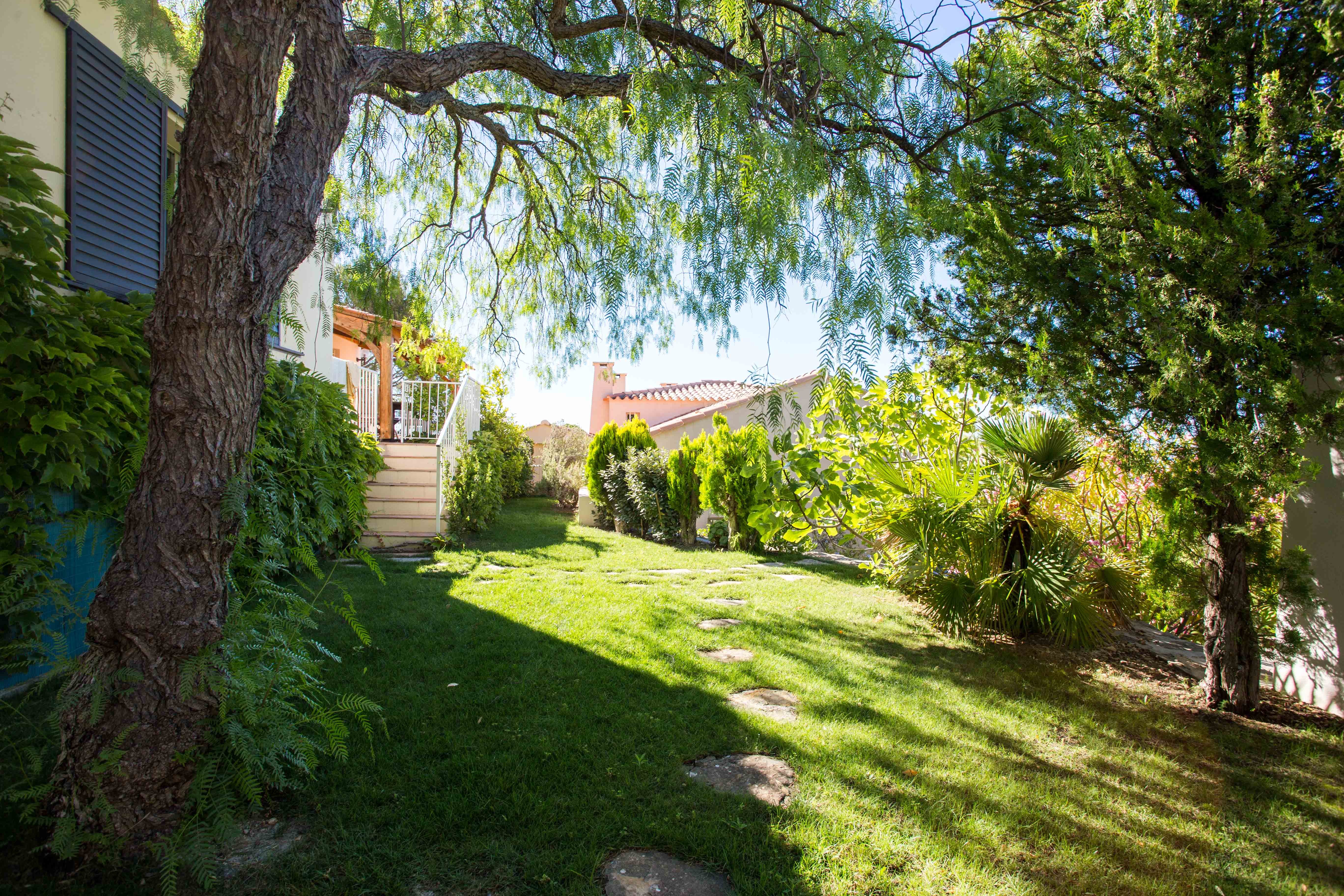 Jardinet et accès terrasse