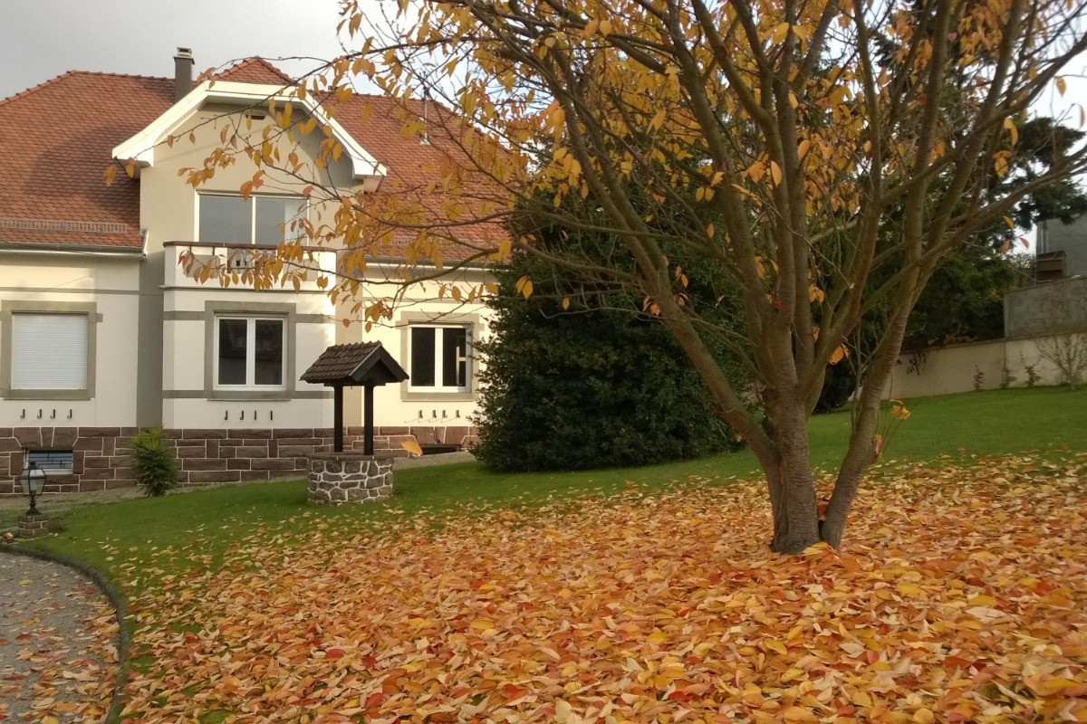 Automne