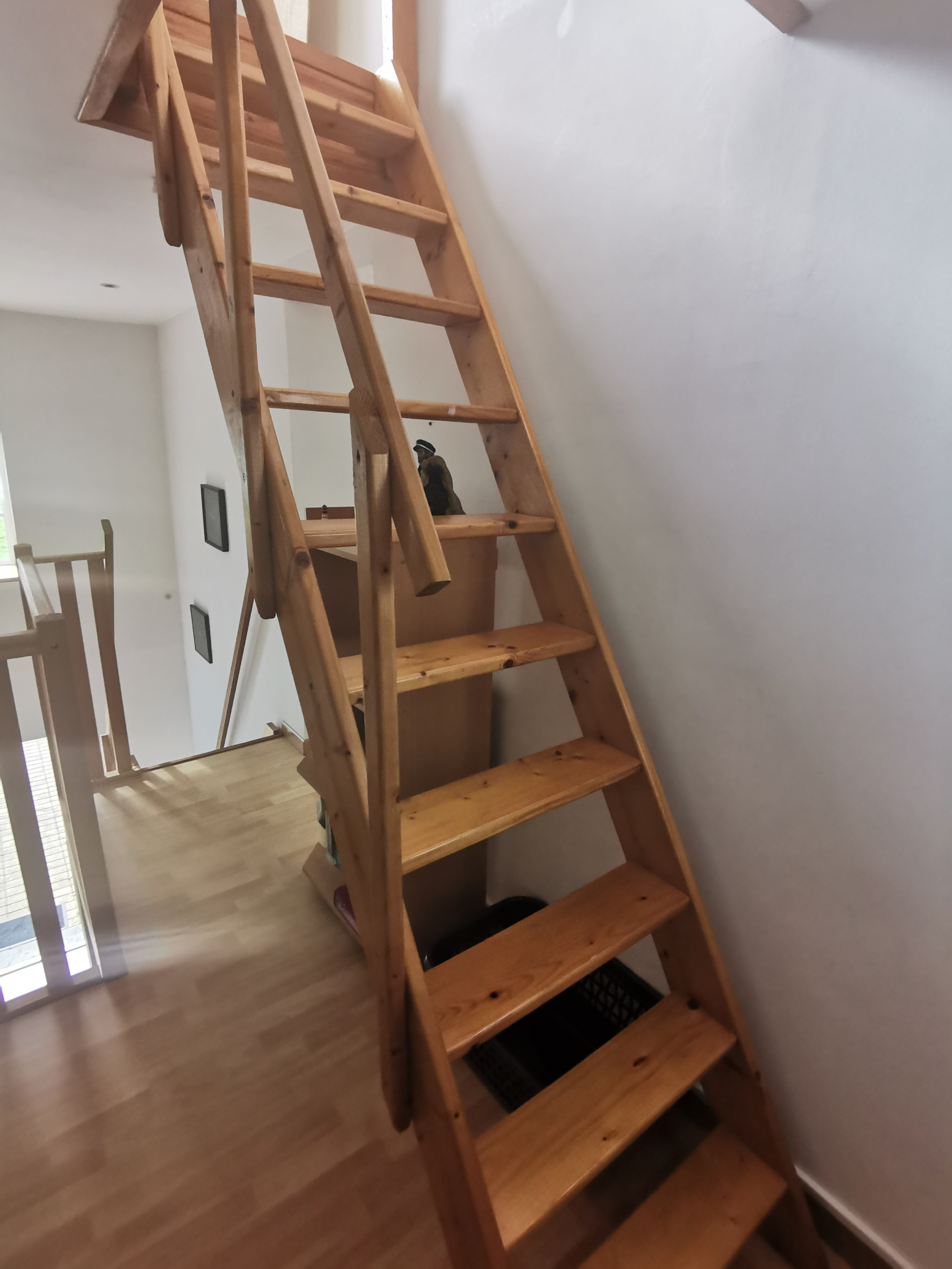 Photo n° 12 of the location