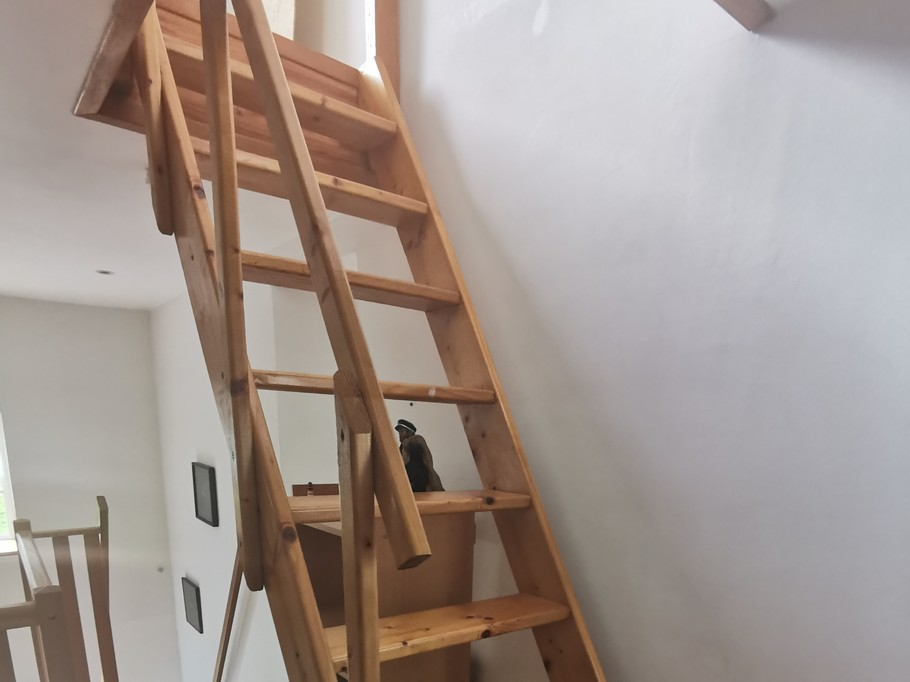 Photo n° 12 of the location