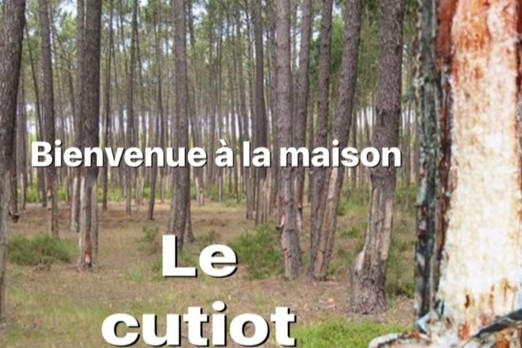 Gîte Le Cutiot - Lit-et-Mixe - Landes - Océan