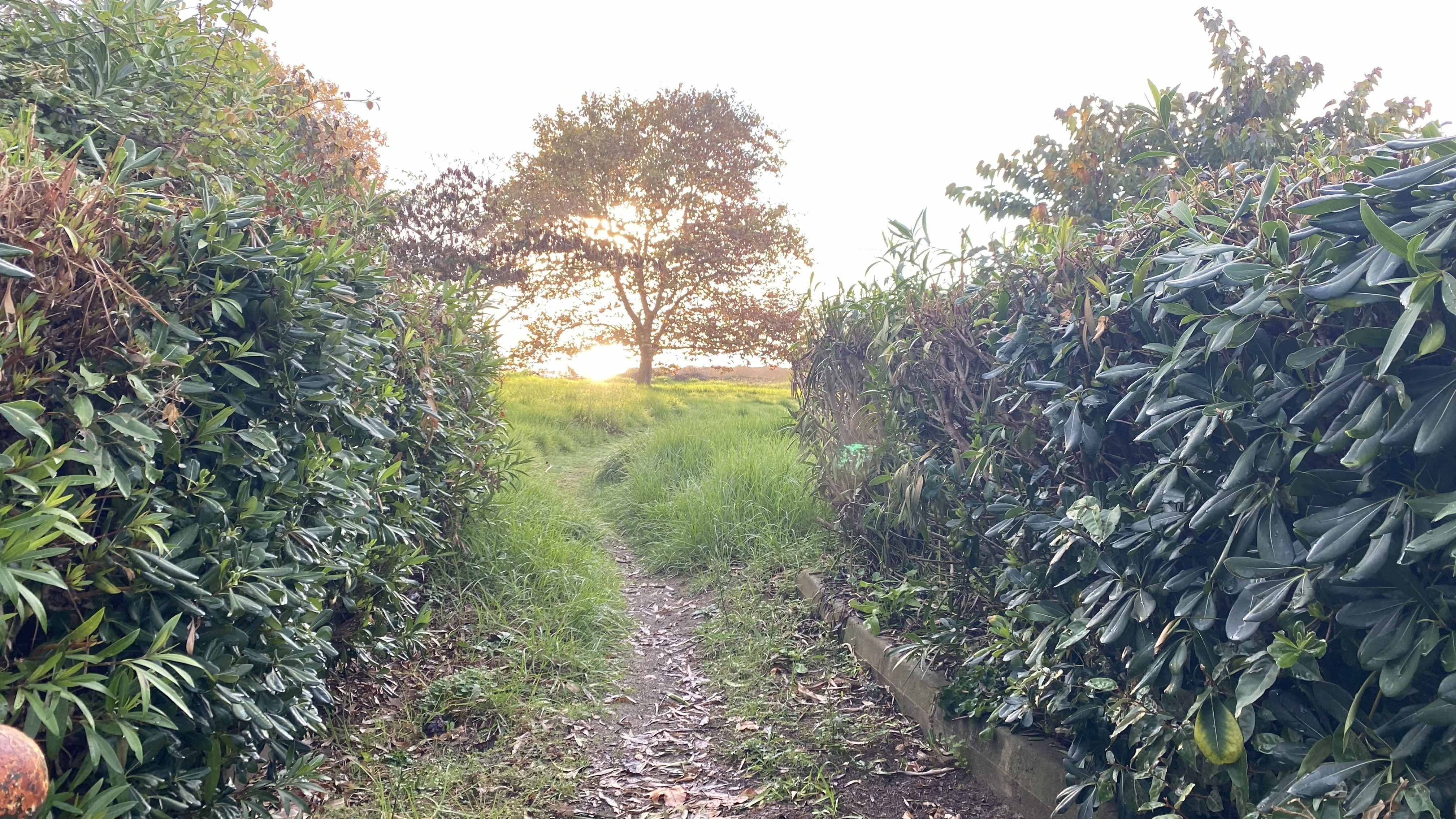 Photo n° 20 of the location