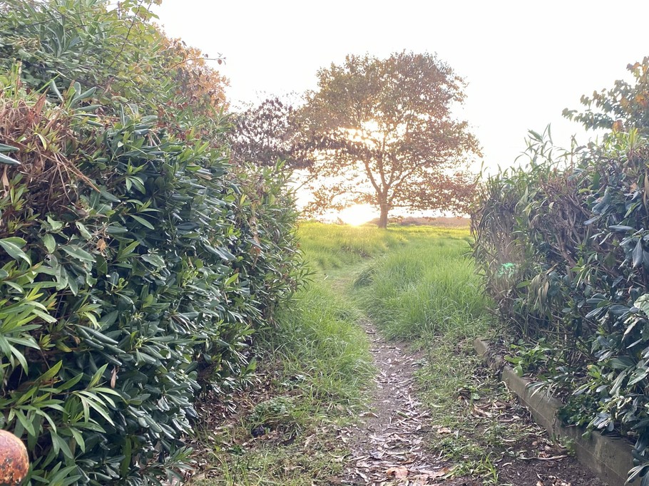 Photo n° 20 de la location