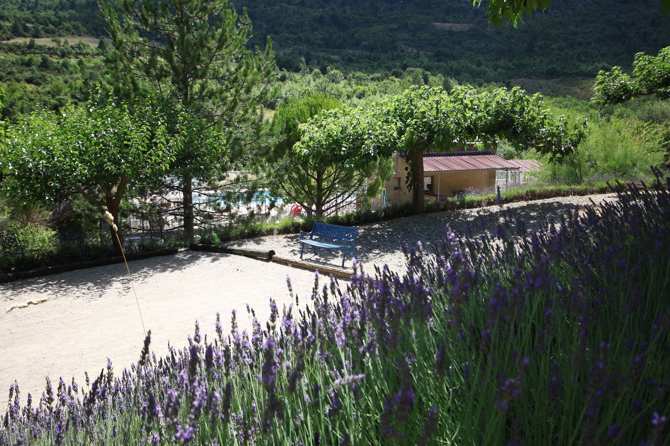 Photo n° 5 de la location