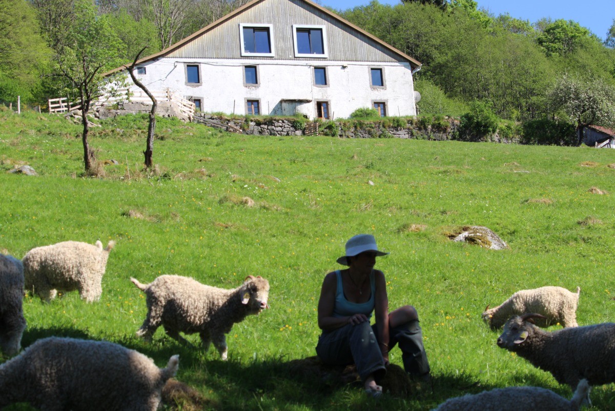 La Ferme sous les Hiez