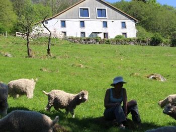 La Ferme sous les Hiez