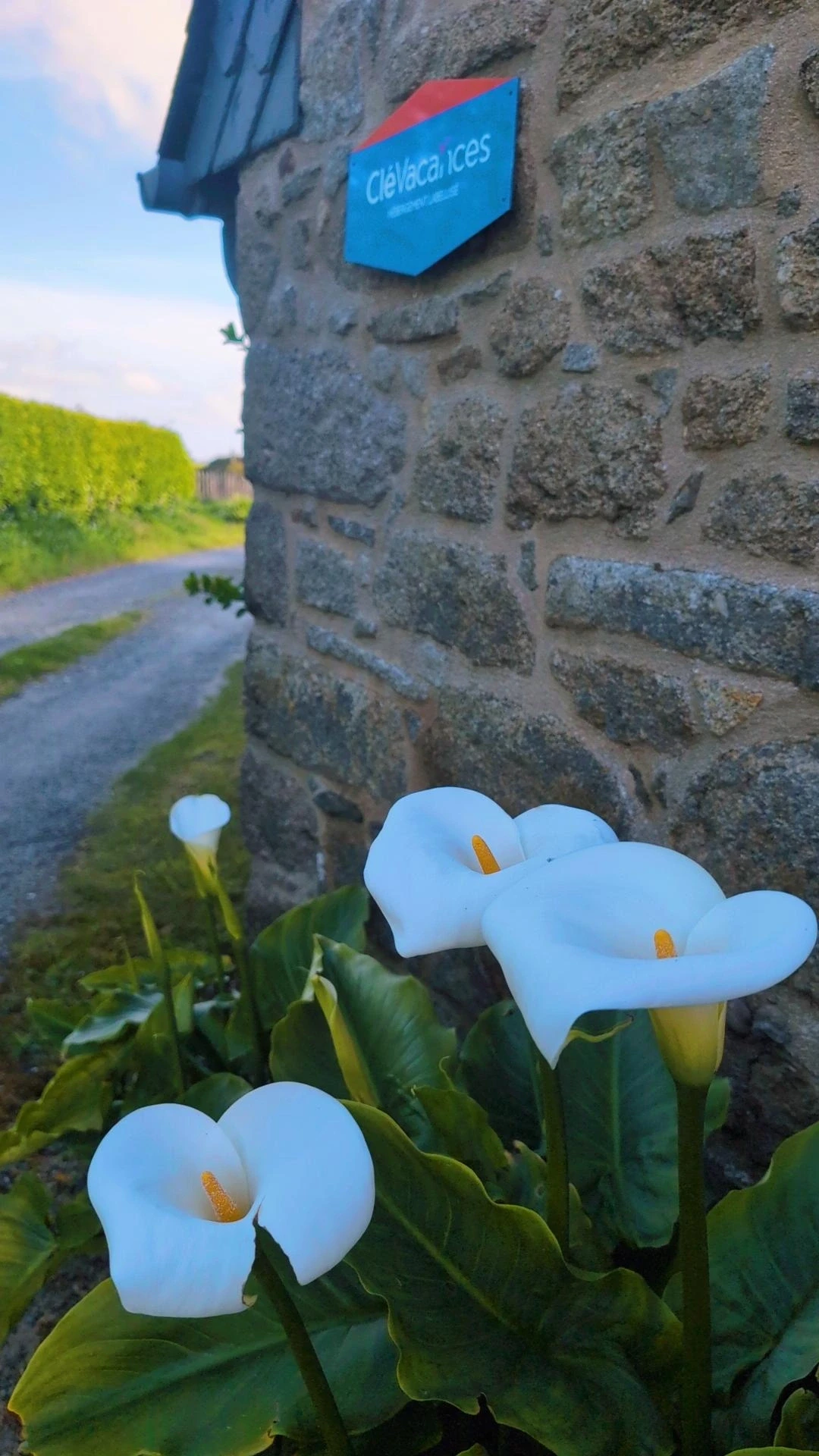 Photo n° 20 of the location