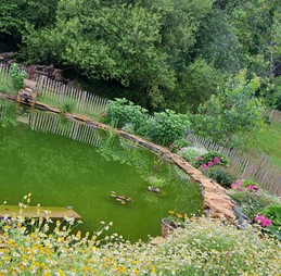 Image n° 4 de la location