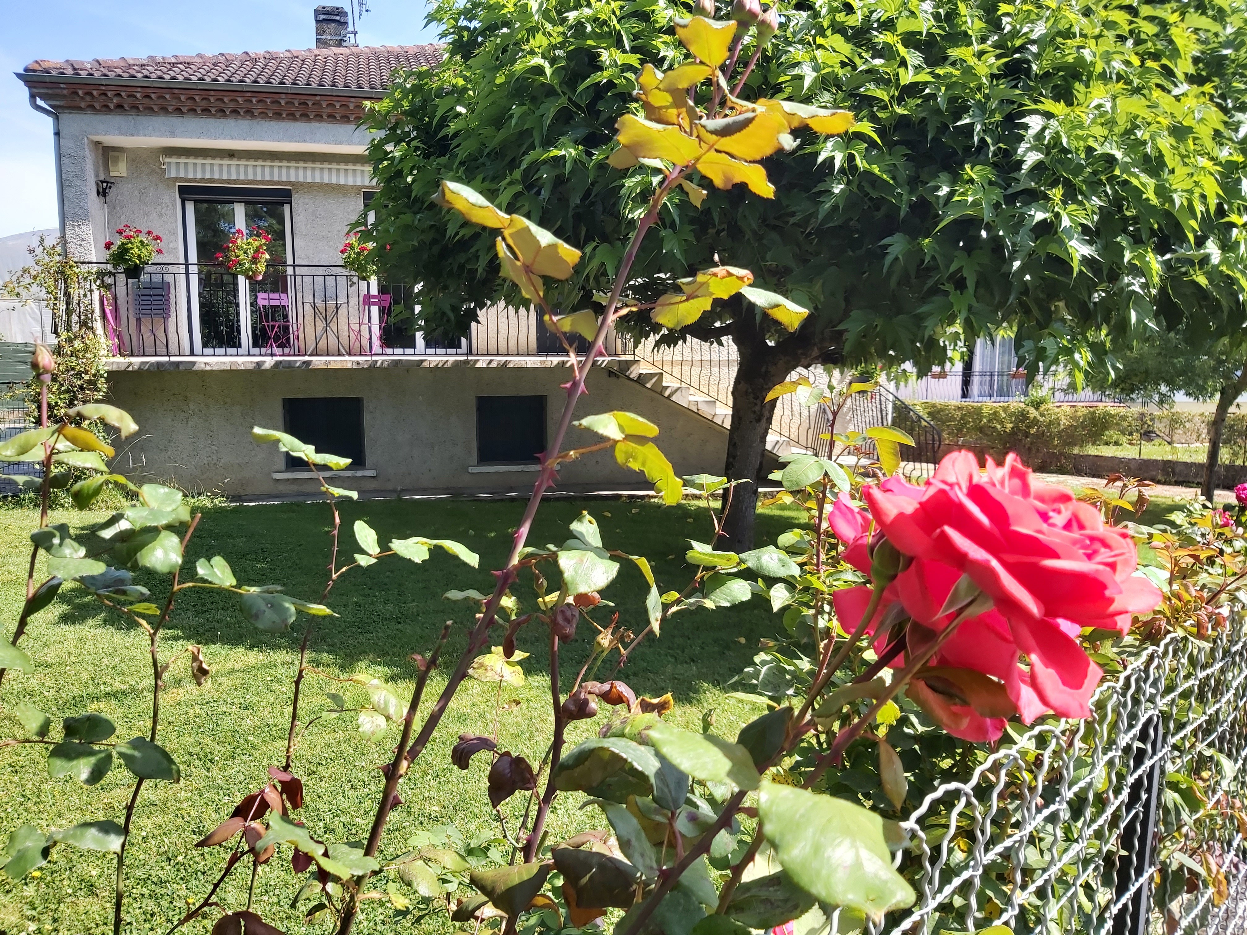 Le gîte et son jardin