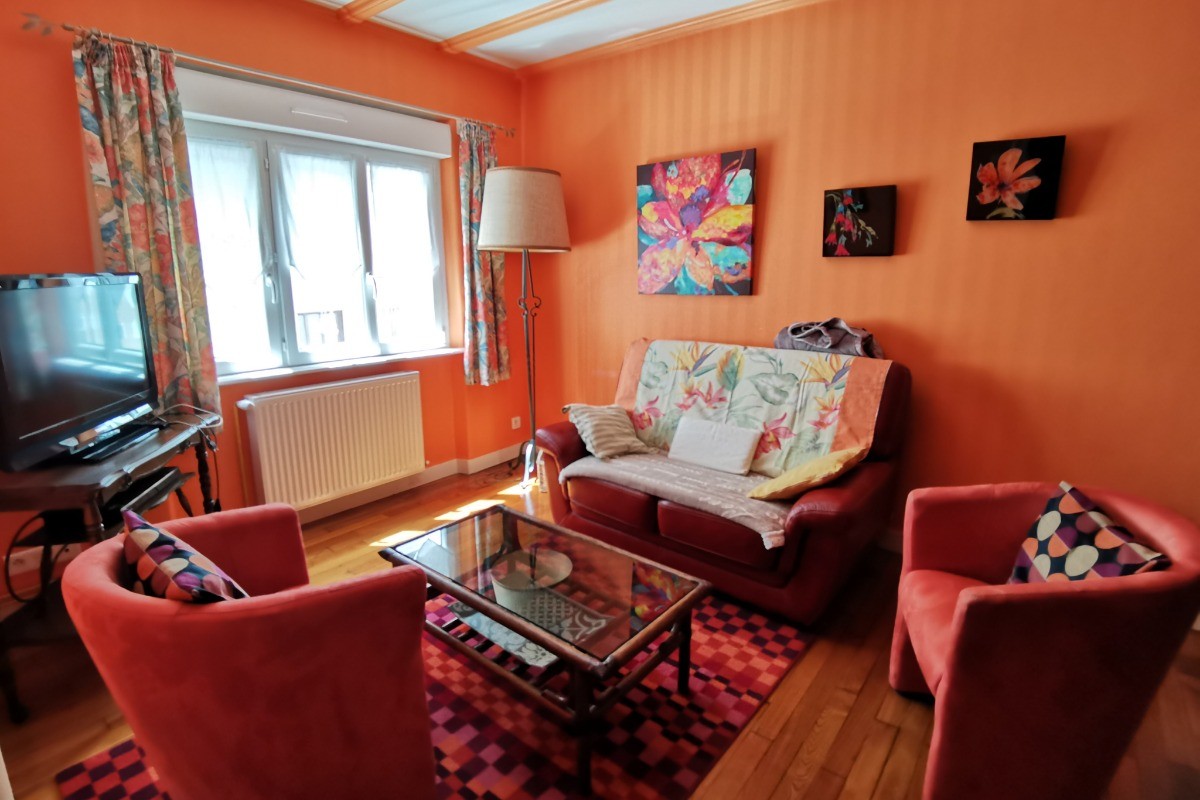 Salon avec TV