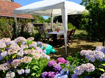 Le salon de jardin sous son barnum