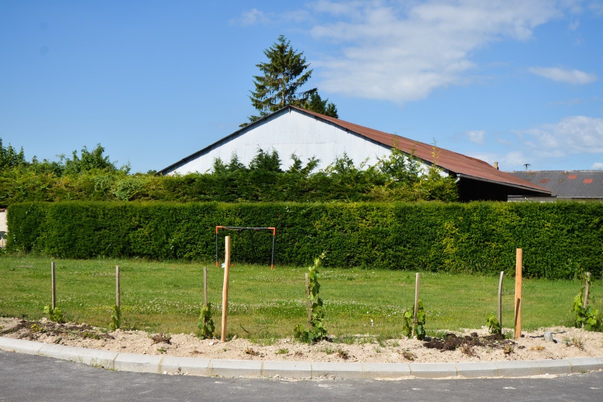 Photo n° 13 of the location