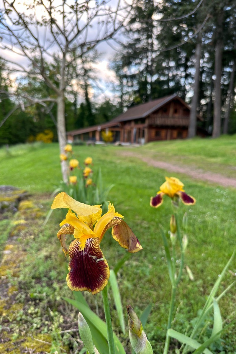 Photo n° 19 of the location