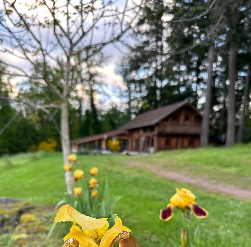 Photo n° 19 of the location