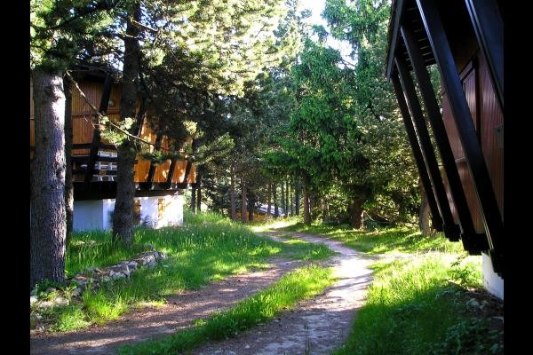 CHEMIN D'ACCES AU CHALET