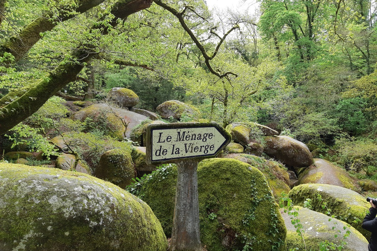 la forêt et les chaos de rochers