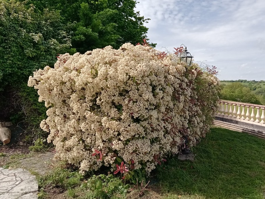 Photo n° 11 of the location