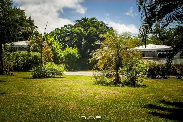 Le jardin