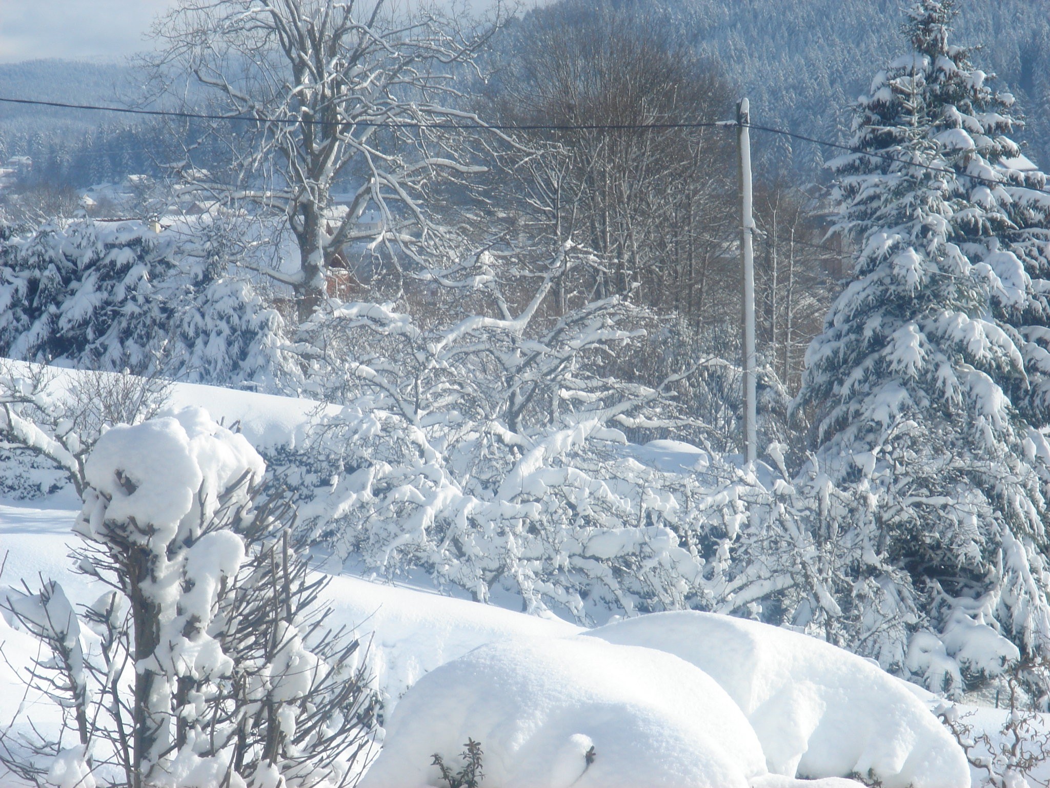 Vue d'hiver autour du chalet - Chalet Nid Douillet