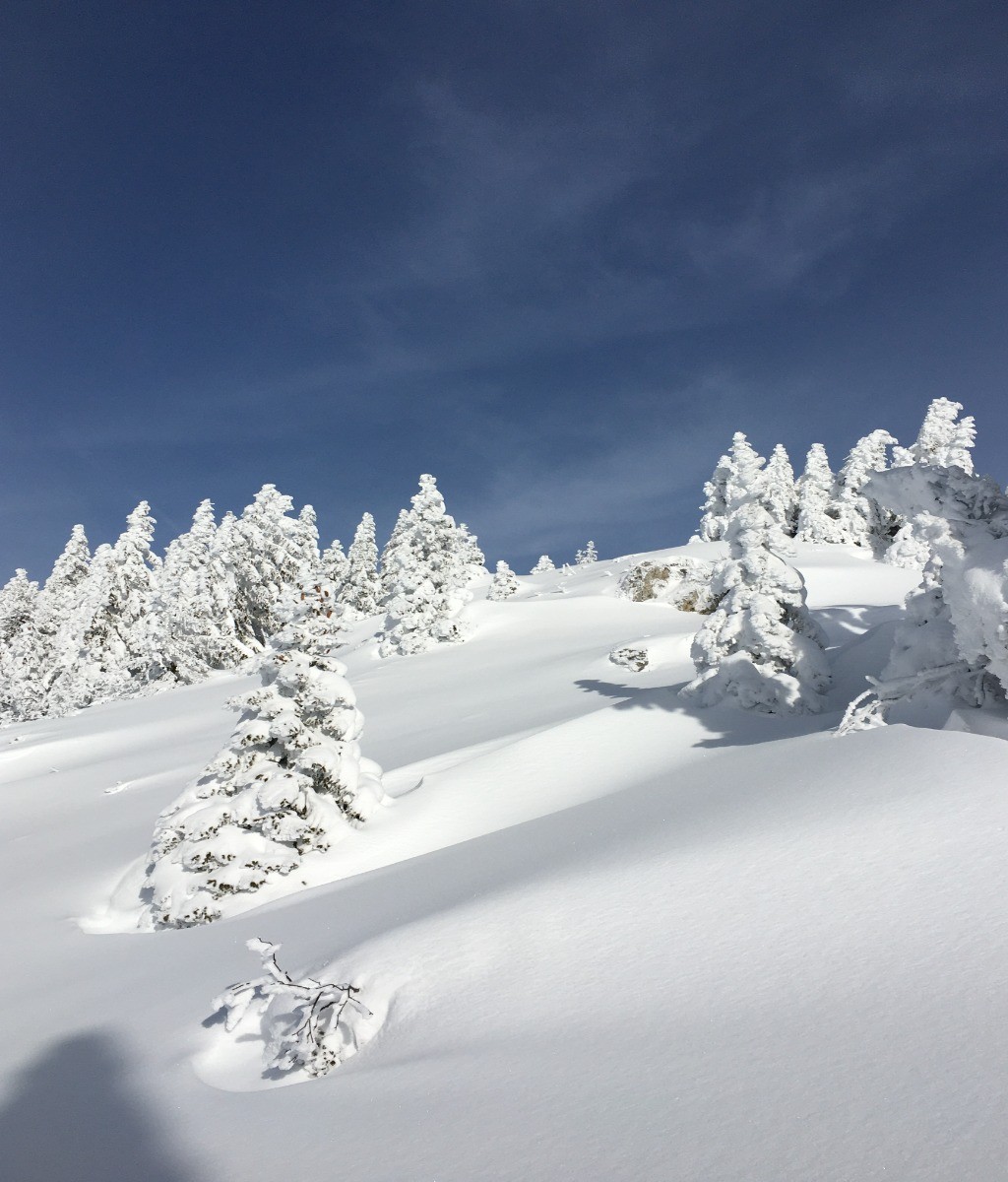 Photo n° 18 de la location